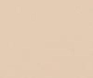 z1Beige Warm